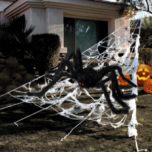 Giant Spider Web with Spiders