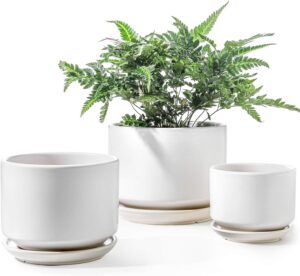 Stylish Ceramic Planter Set