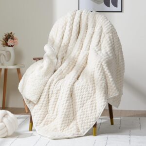 Cozy Weighted Blanket
